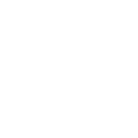 Alexi Construction